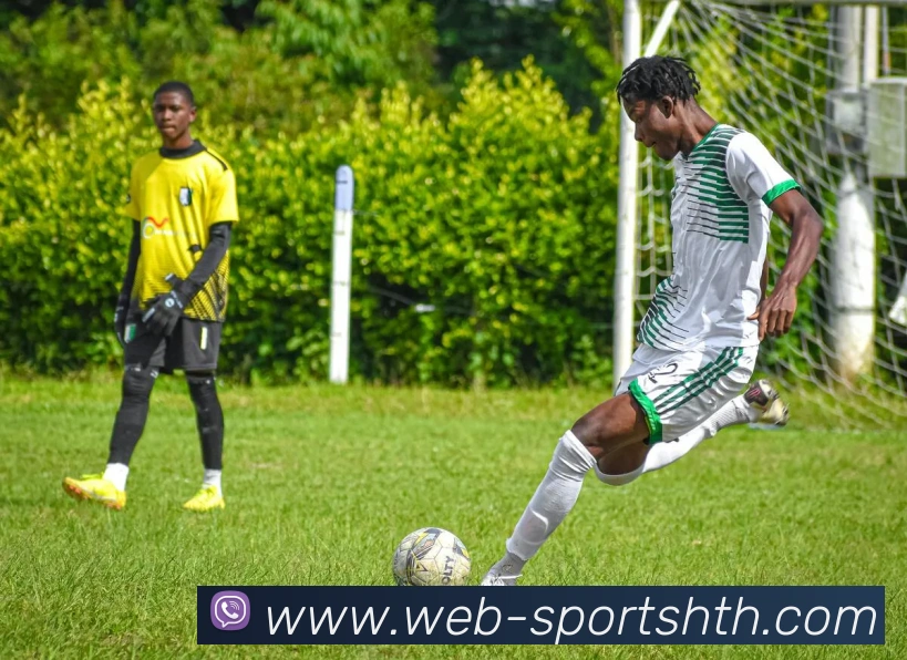 华体会体育平台生态图